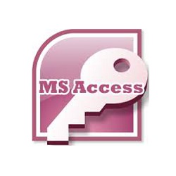 Microsoft access SQL Developer Seattle crm database